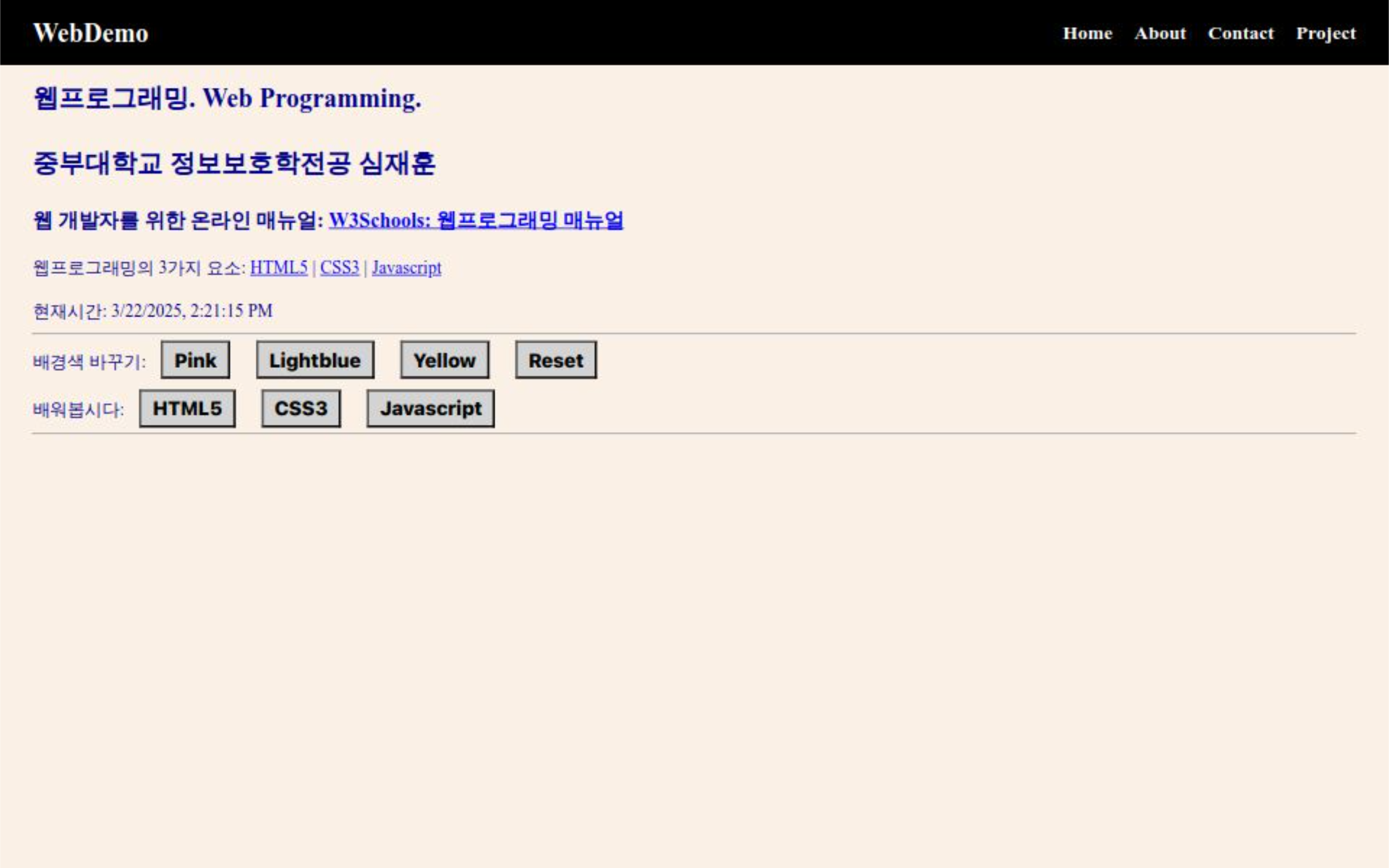 WEB DEMO1