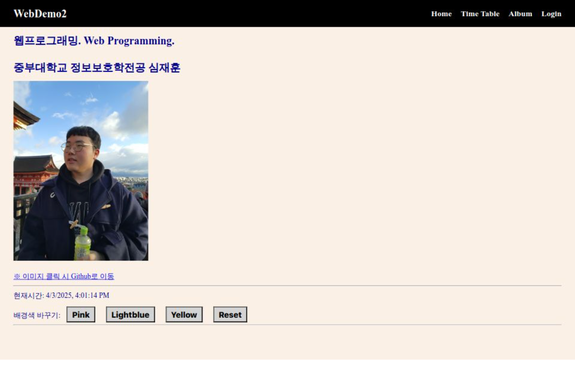 WEB DEMO2